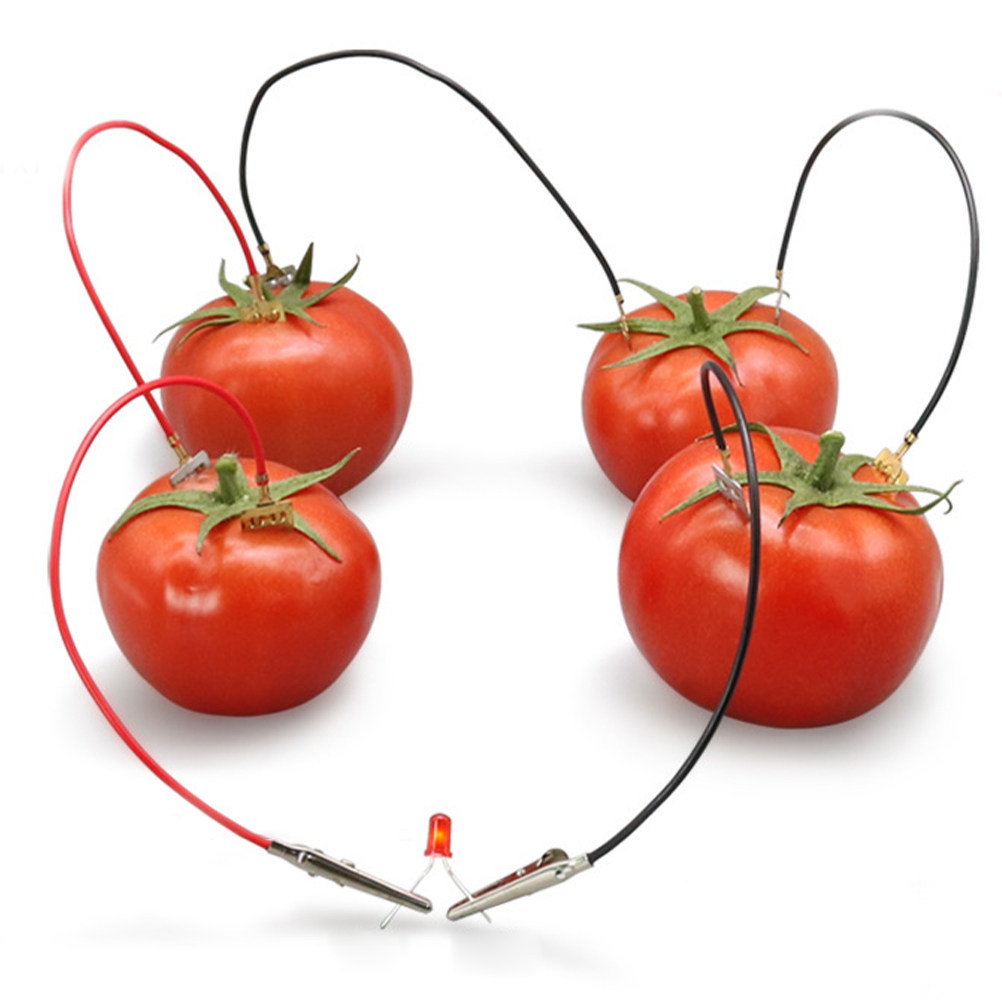 Fruit Battery Science Experime - огляд і ціна Diy Electronics Projects For Kids