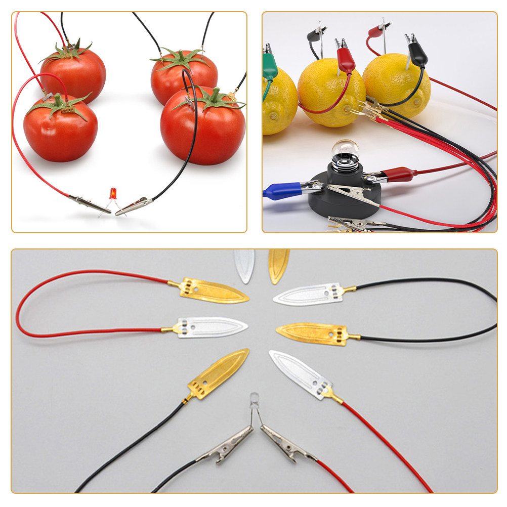 Fruit Battery Science Experime - огляд і ціна Diy Electronics Projects For Kids